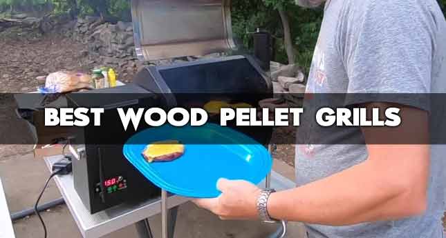 Best Wood Pellet