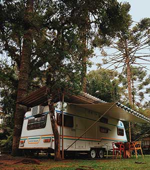 rv forest
