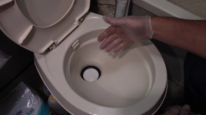 How to Get Rid of Maggots in RV Toilet
