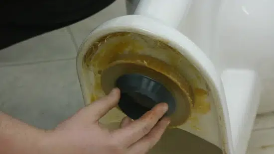 Replace the Old Wax Ring with the  New Seal