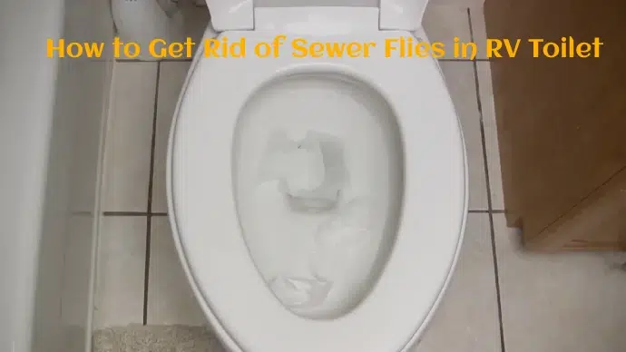 How to Get Rid of Sewer Flies in RV Toilet: 3 DIY Methods