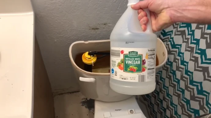 Can You Put Vinegar in an RV Toilet
