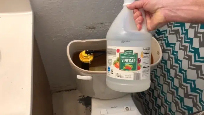 Can You Put Vinegar in an RV Toilet: 2 Factors [Keep in Mind]