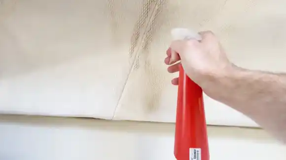 How To Maintain the Ceiling Carpet On An RV