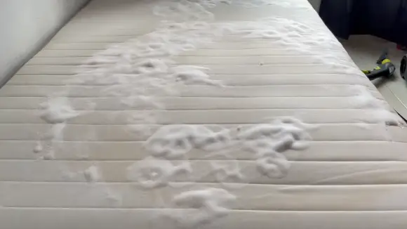 How to Properly Clean RV Bunk Mattress