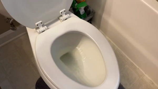 Reasons Why Poop Sticks to RV Toilet