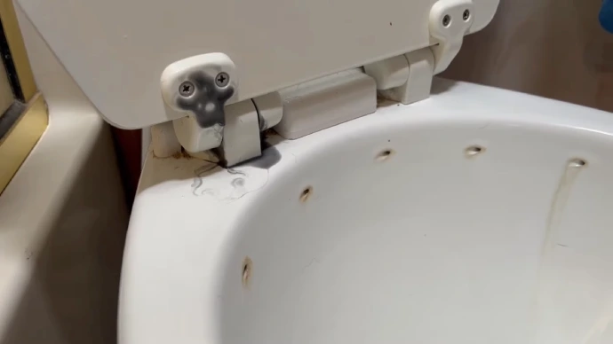 Why Does My RV Toilet Make Creaking Noise